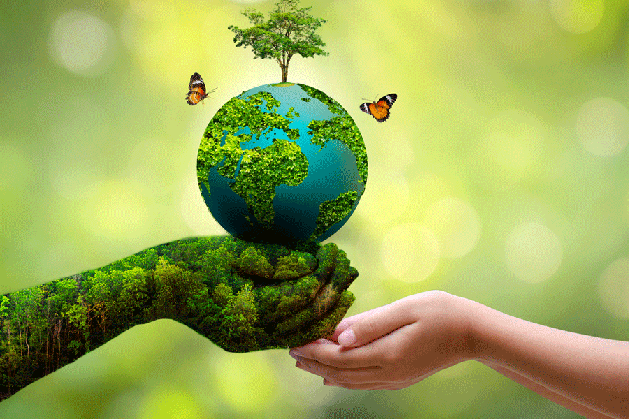 environment